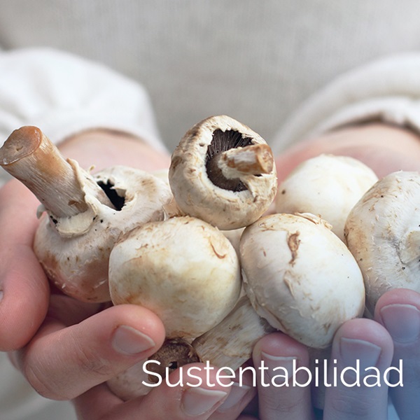 Sustentabilidad